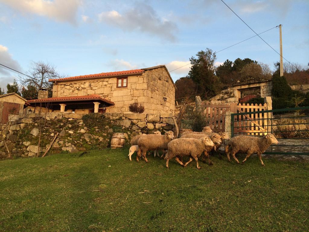 Affittacamere Refugio Dos Cregos Riba de Mouro Esterno foto